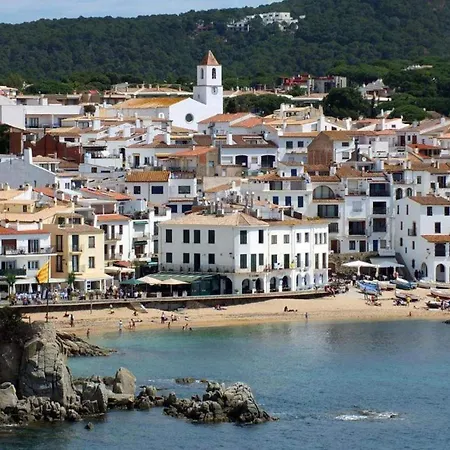 Apartmán The Golden Oak In Calella Centre - 100m From *